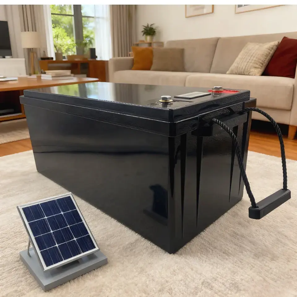 LiFePO4 Battery 12V 24V 48V 70Ah-400Ah | Deep Cycle Lithium Iron Phosphate Battery with Charger | Perfect for Solar Panel System 2