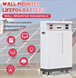 LiFePO4 48V 300AH 15KWH Battery 51.2V 100AH 600AH Lithium Solar Battery Rechargeable Battery 8000+ Cycle For Home Storage NO TAX - thumbnail 4