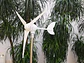 Small Wind Turbine Generator 300w 3 Blades S7 Series 12v 24v Wind Generators and Windmill - thumbnail 3