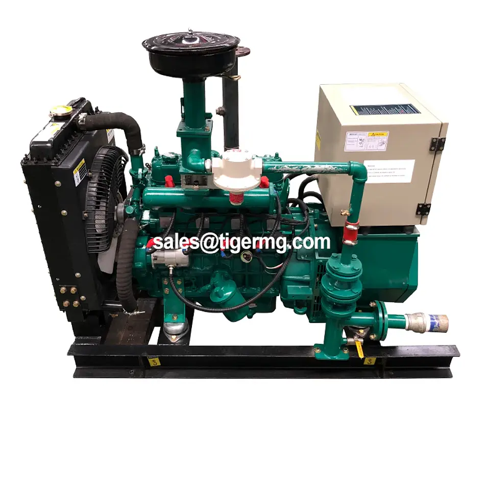 TMTC Biomass Gasification Generator, 10–30 kW Options | Nova Bliss 2