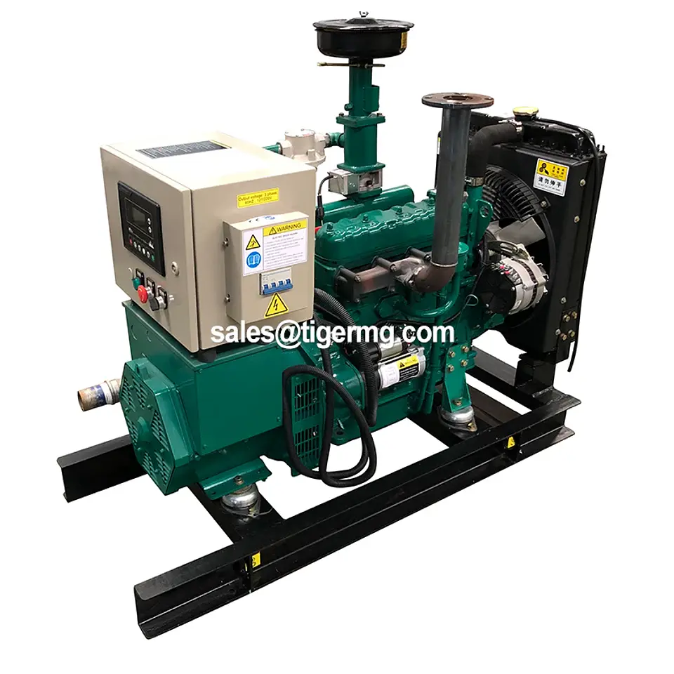 TMTC Biomass Gasification Generator, 10–30 kW Options | Nova Bliss 5