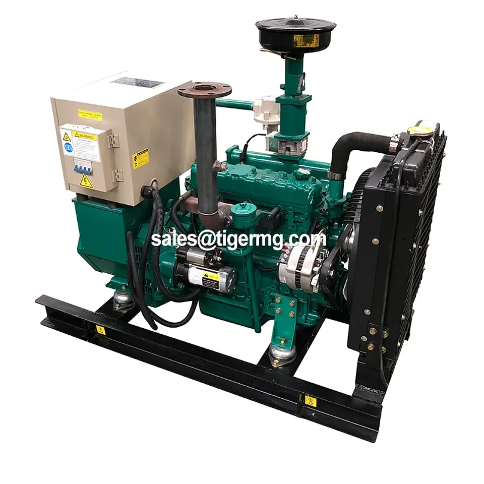 TMTC Biomass Gasification Generator, 10–30 kW Options | Nova Bliss 6