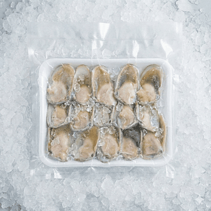 MACHAS MEDIANAS (BANDEJA 15 UNIDADES)