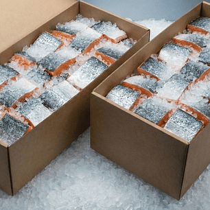 Caja por mayor de SALMÓN PORCIÓN CON PIEL 20 Kilos