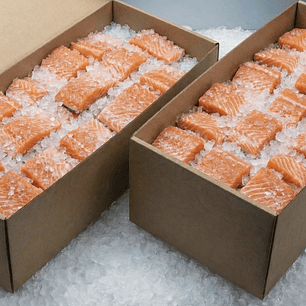 Caja por mayor de SALMÓN PORCIÓN SIN PIEL 20 Kilos