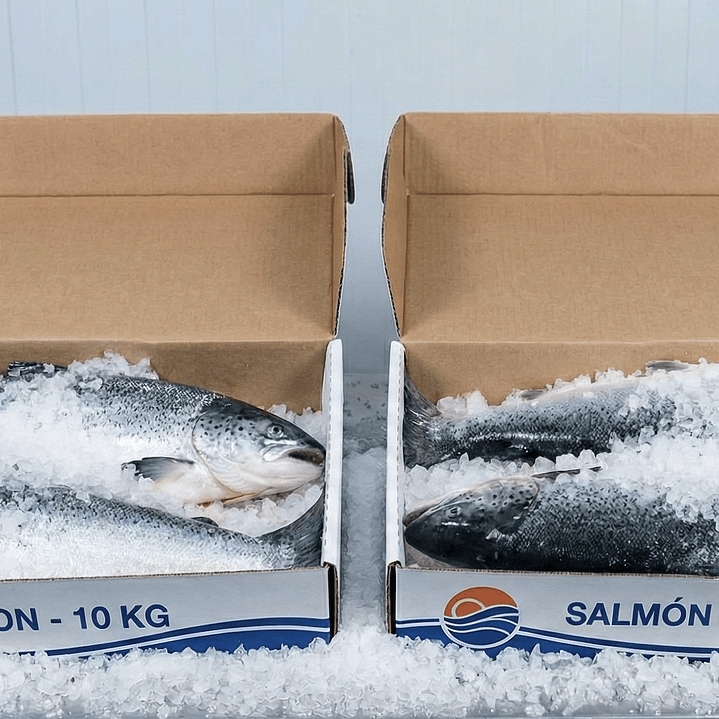 Caja mayor de Salmón Hon 20 Kilos 1