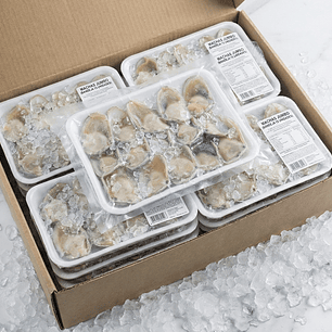 Caja por mayor MACHAS MEDIANAS (BANDEJA 15 UNIDADES) 20 kilos