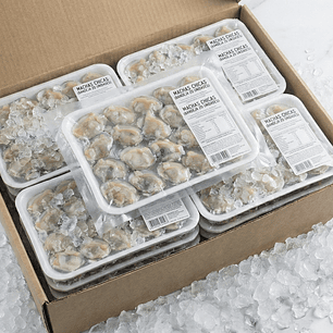 Caja por mayor MACHAS CHICAS (BANDEJA 20 UNIDADES) 20 kilos