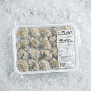 MACHAS CHICAS (BANDEJA 20 UNIDADES)