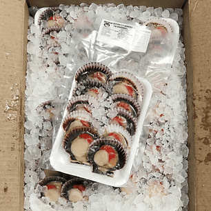 Cajas por mayor OSTIONES CALIBRE 