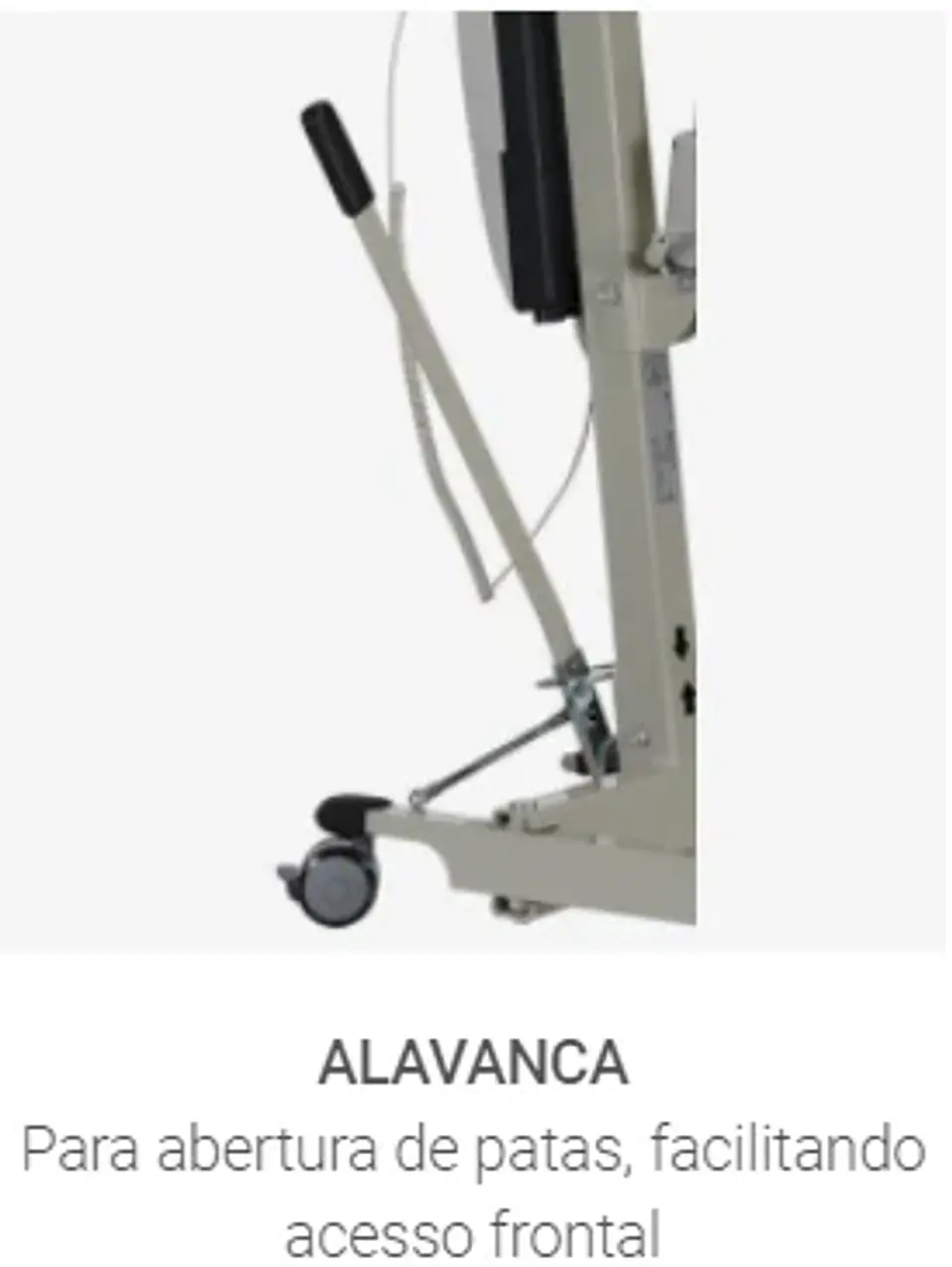 Elevador De Transferência / Grua elétrica (150 kg) 10.77N 2
