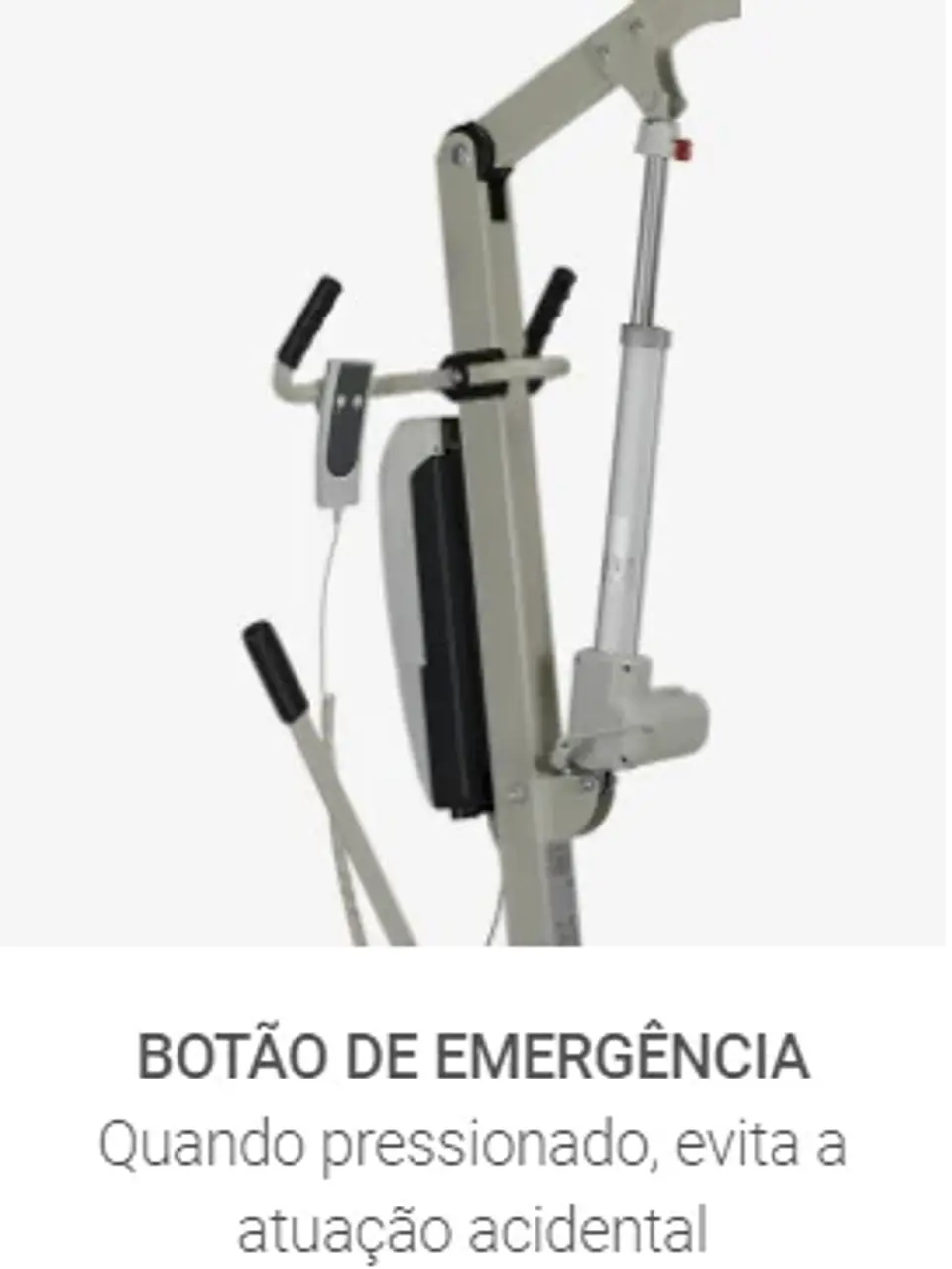 Elevador De Transferência / Grua elétrica (150 kg) 10.77N 4