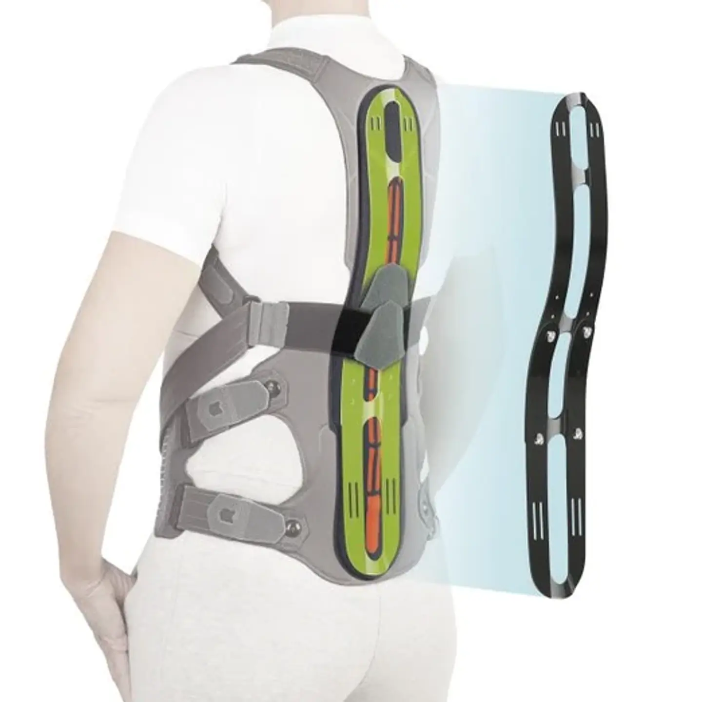 Ortótese Dorsolombar para Osteoporose - Dorsotech 4