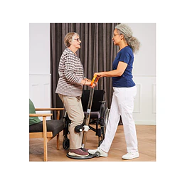 Ajuda de Transferência TURNER