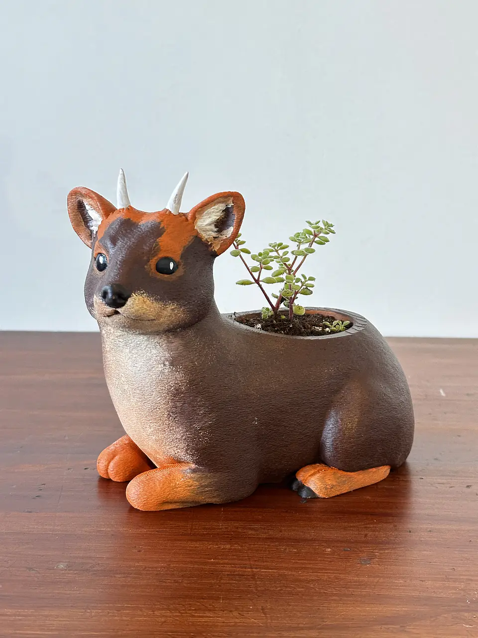 Pudu 2