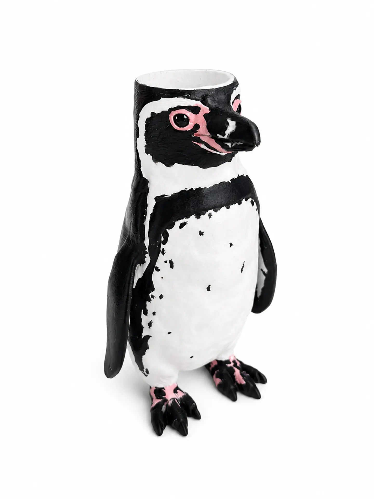 Pinguino de Humboldt 1