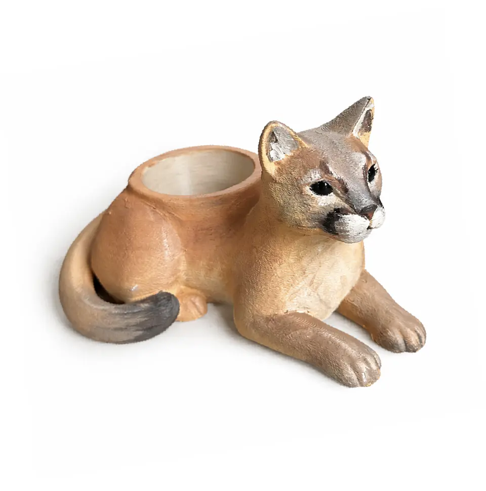Puma 1