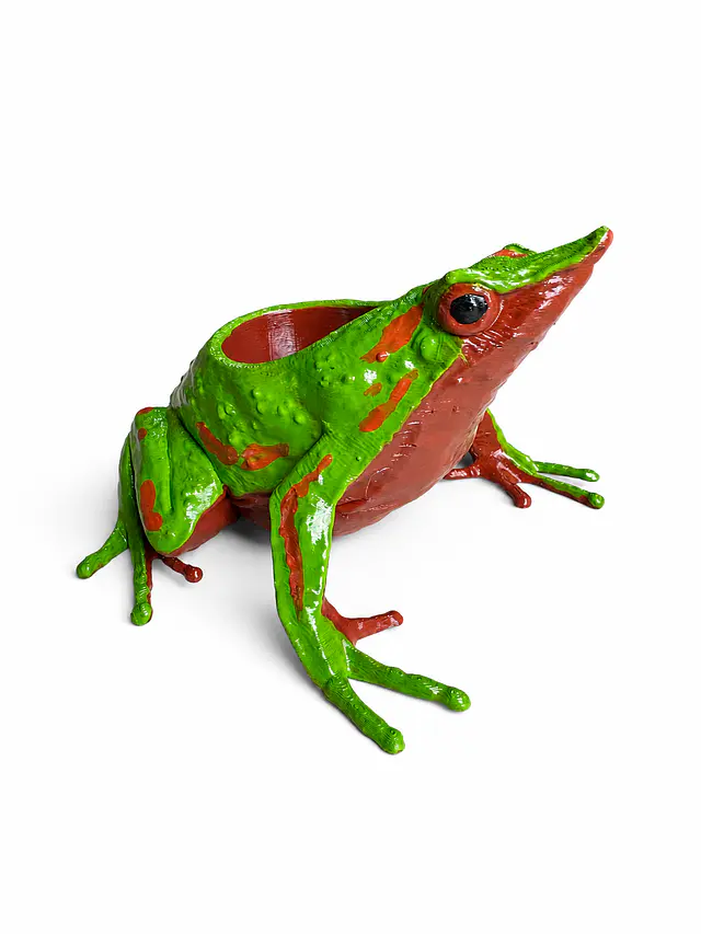 Macetero de Ranita de Darwin
