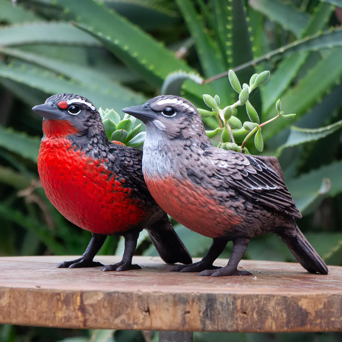 Macetero Pareja de loicas