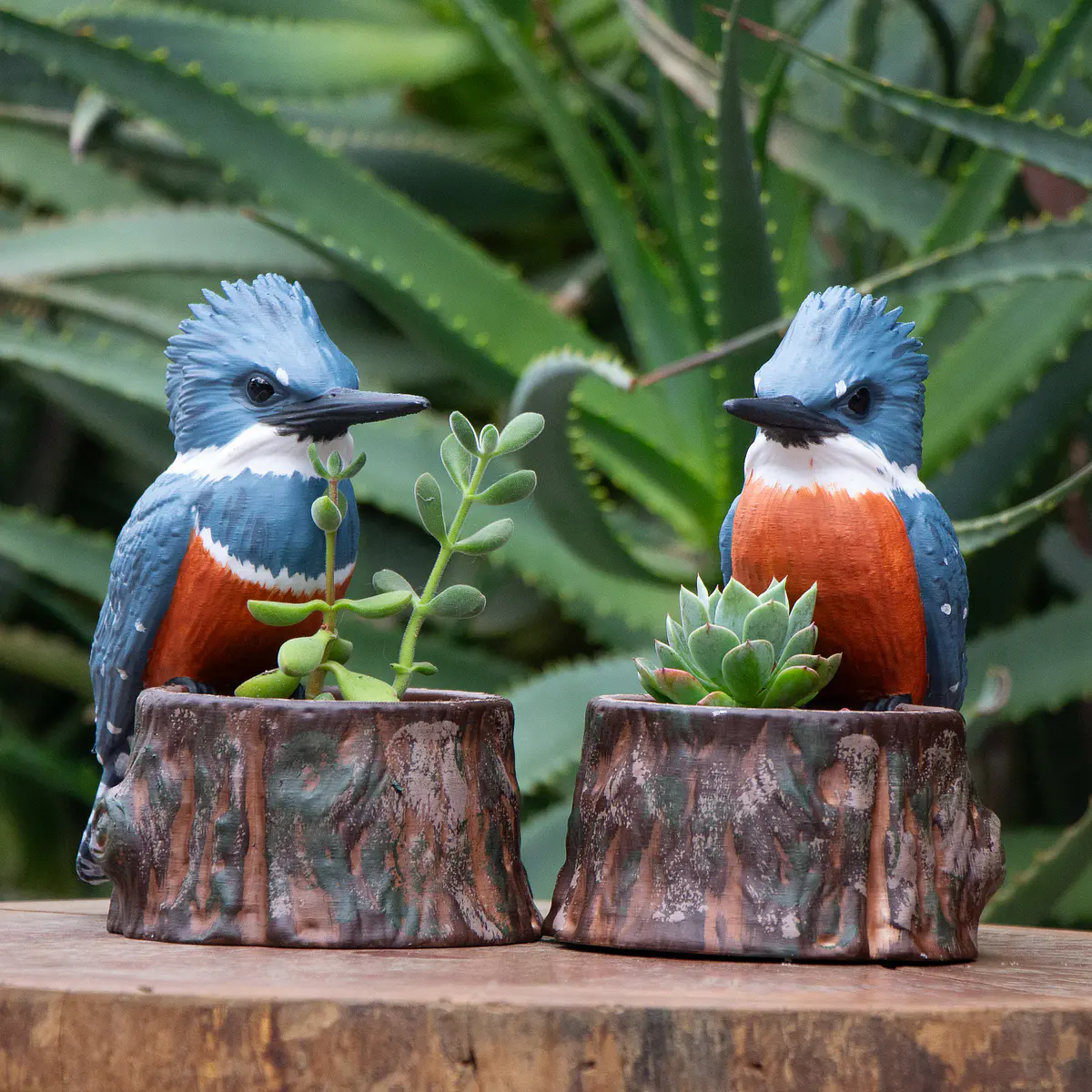 Macetero de Pareja de martines pescadores