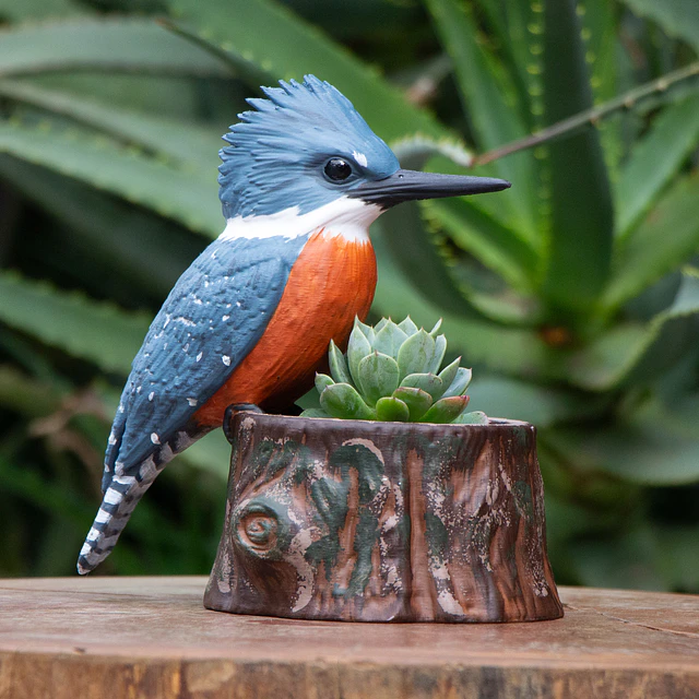 Macetero de Martín pescador