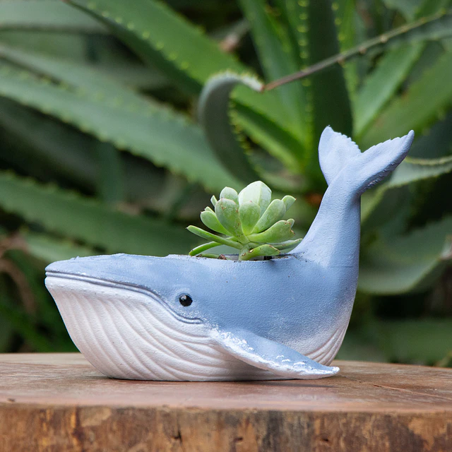 Macetero de Ballena azul