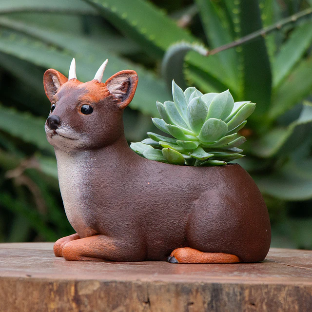 Macetero de Pudú