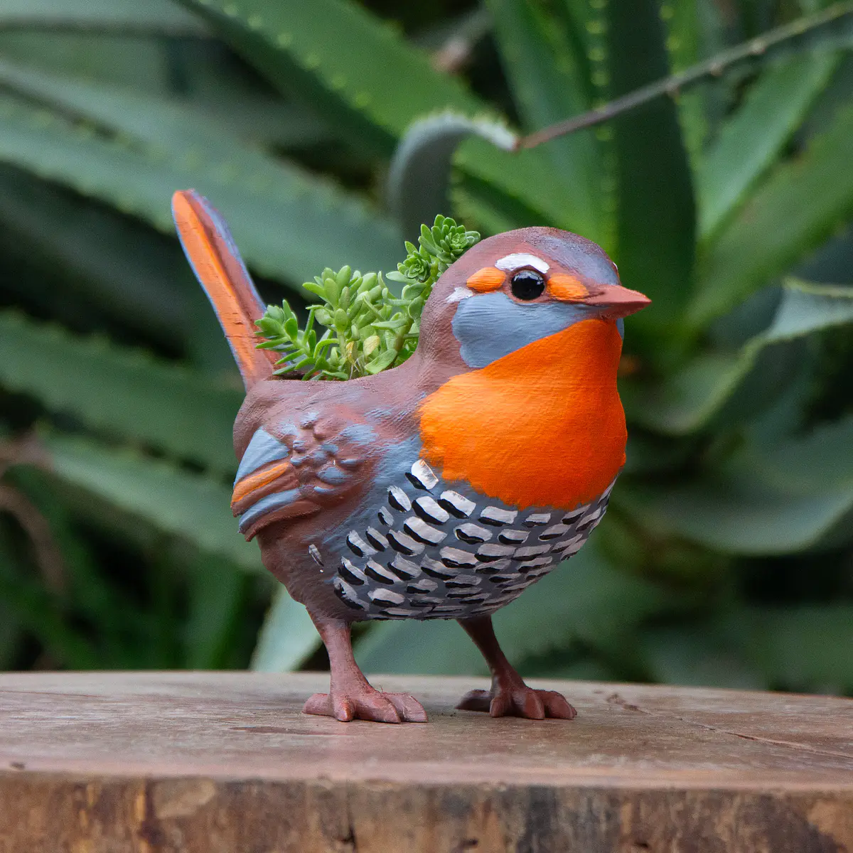 Macetero de Chucao