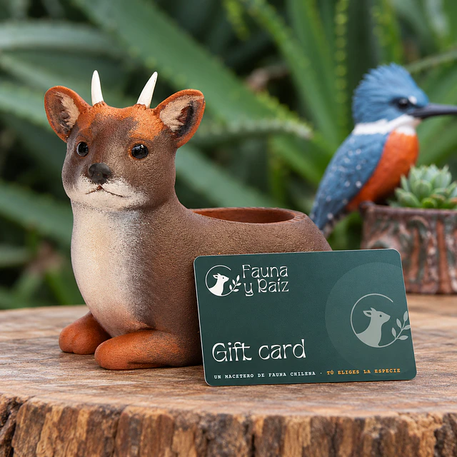 Macetero de Gift card · Regala un macetero