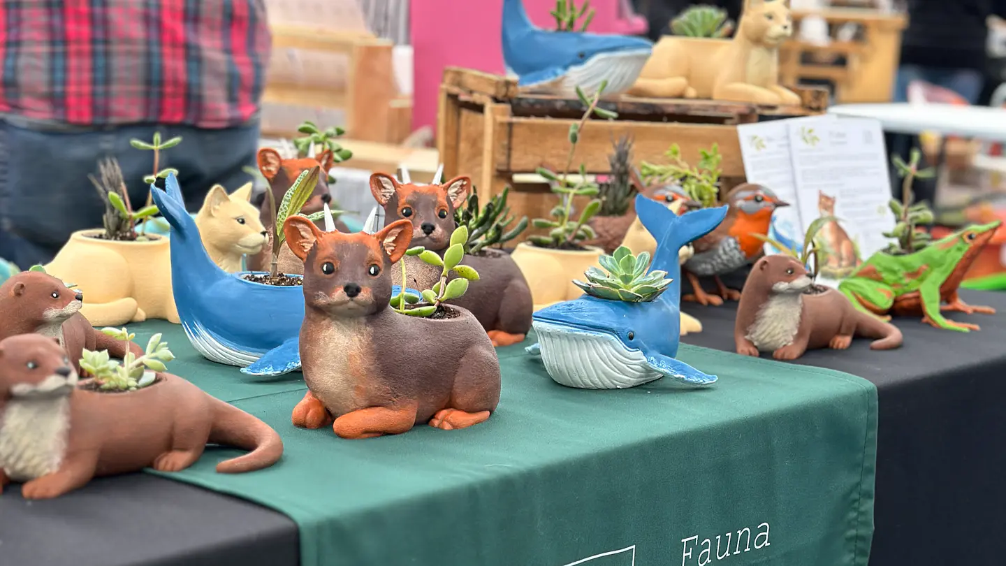 Fauna Chilena que vive contigo