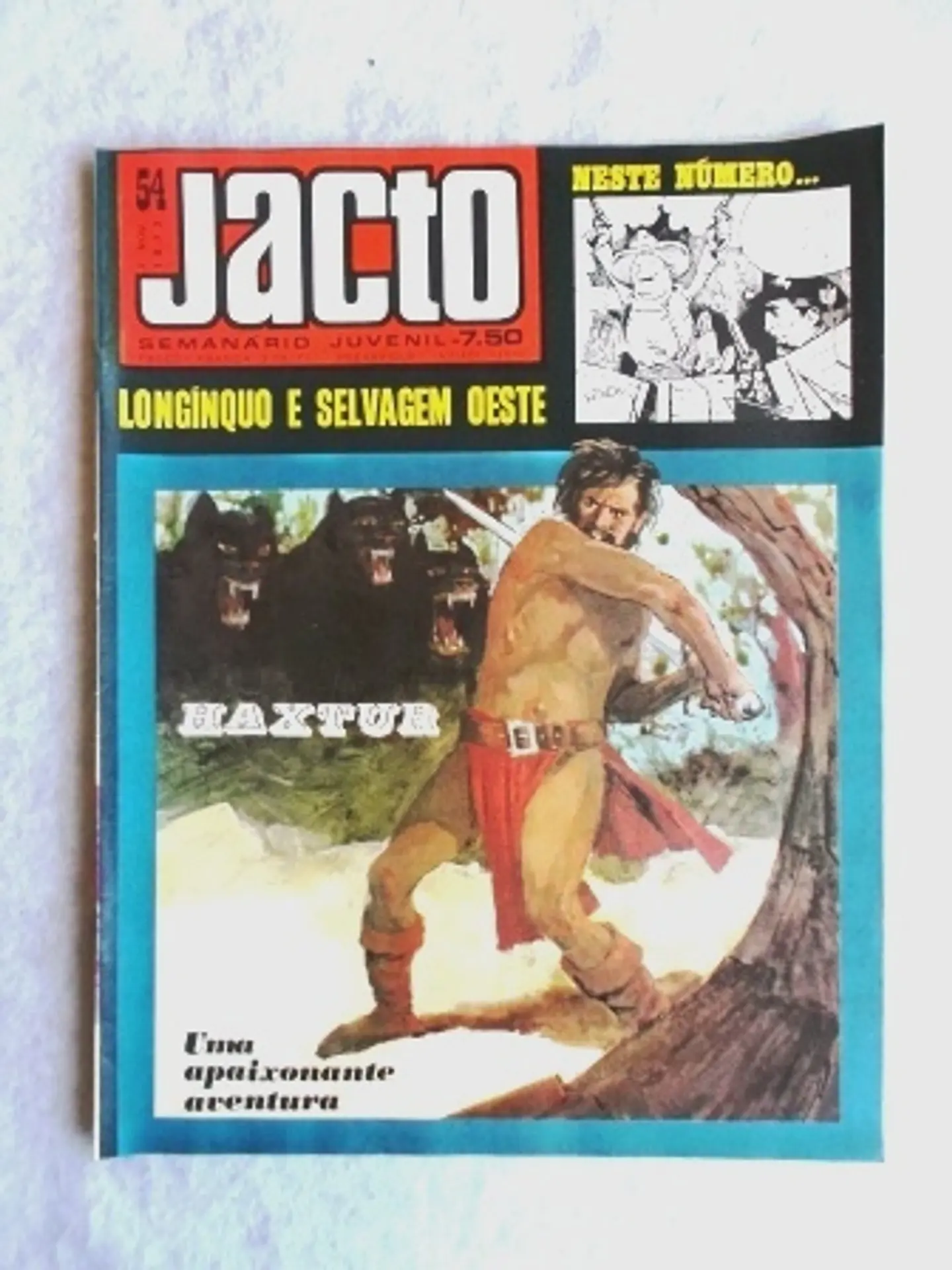 Jacto 54 1