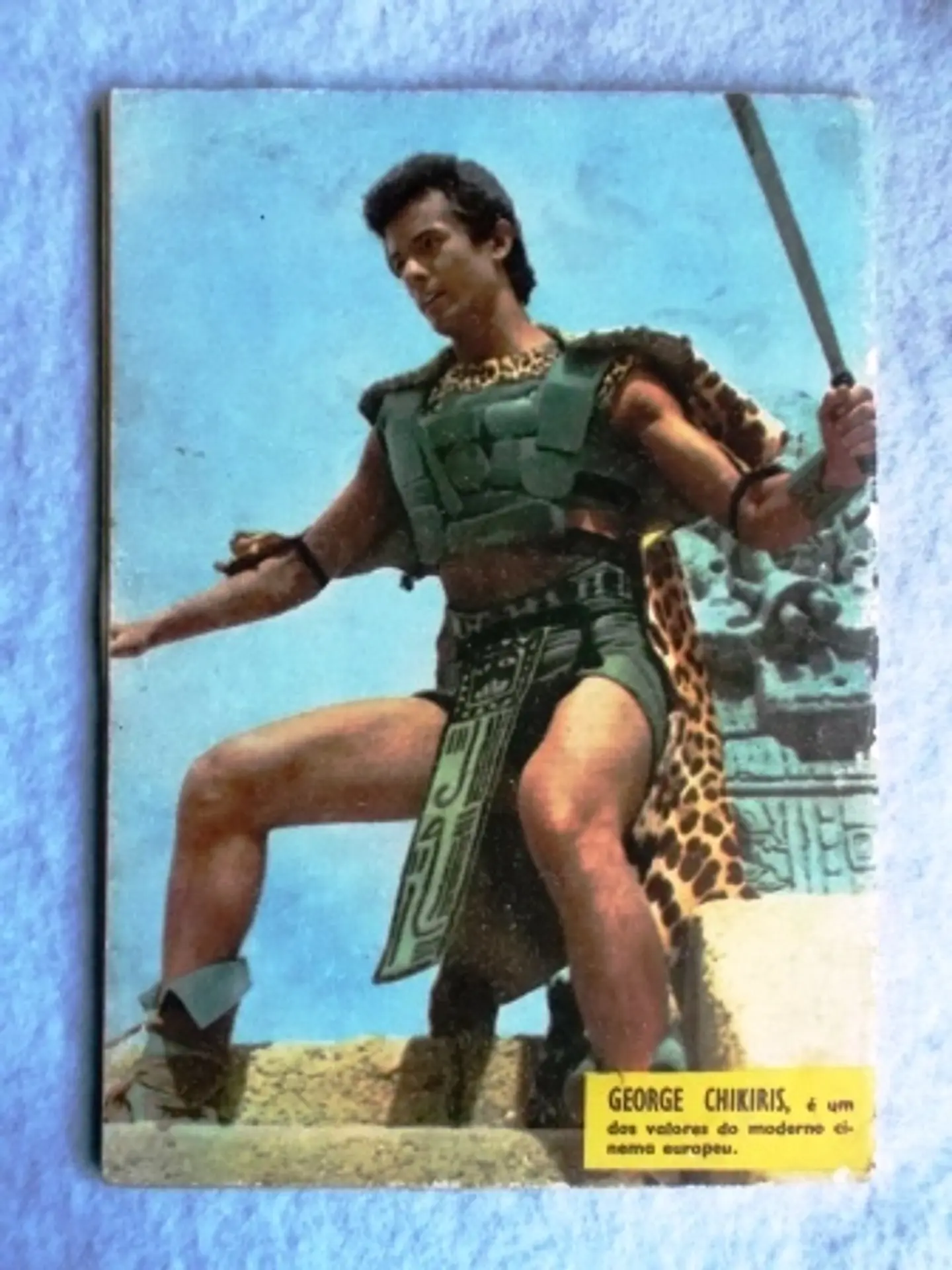 Zorro 081 2