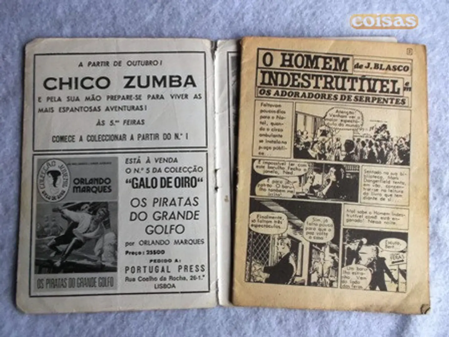 Canguru 86 - O Homem indestrutível 4