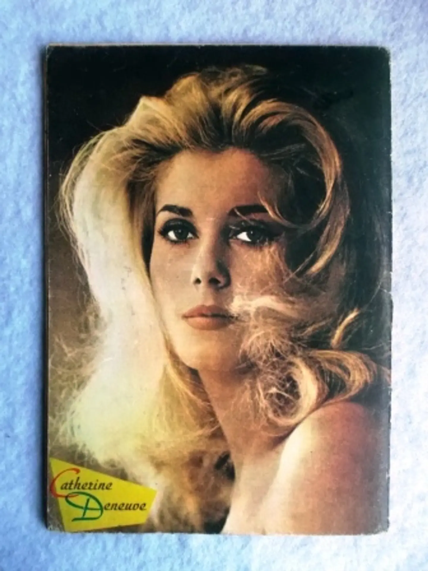 Zorro 118 2