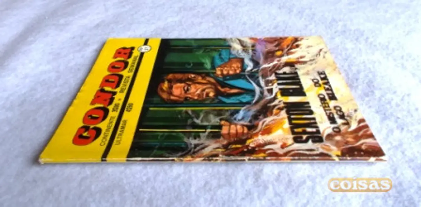 Condor 027  3
