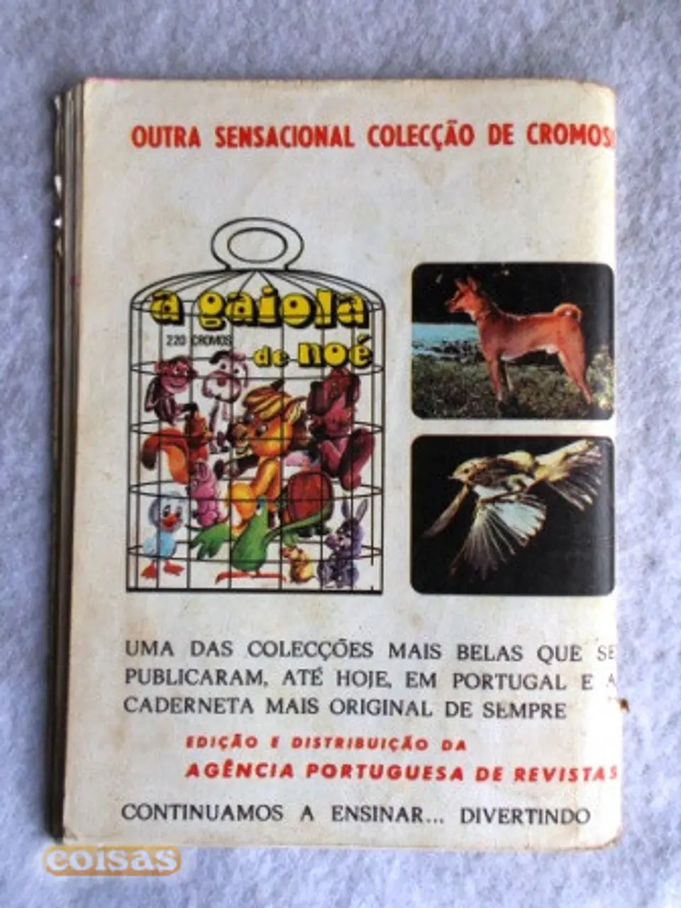 Condor 291 2