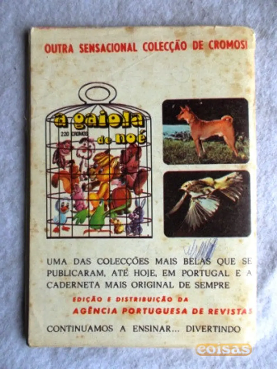 Condor 280 2