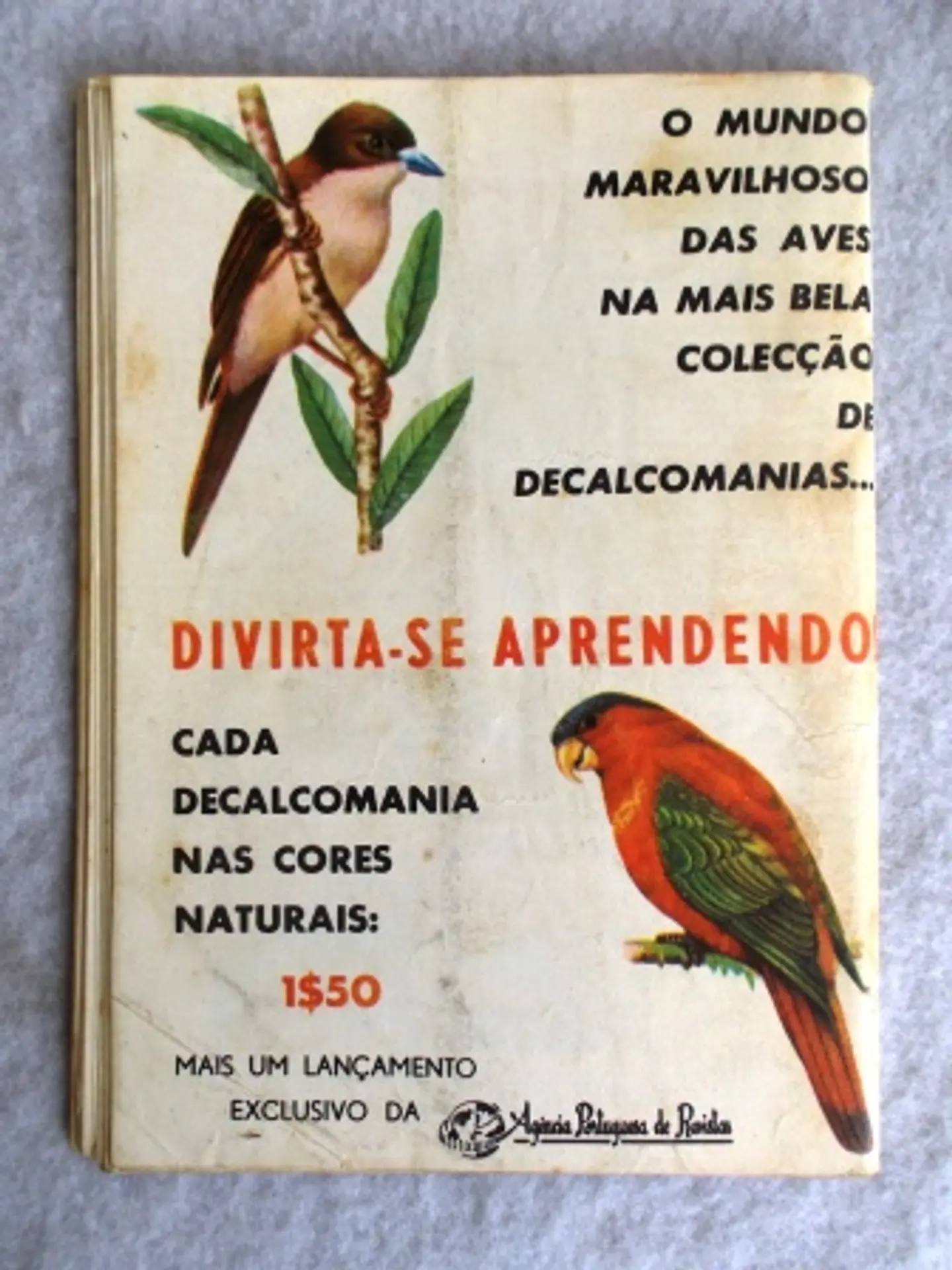 Xerife 228 2