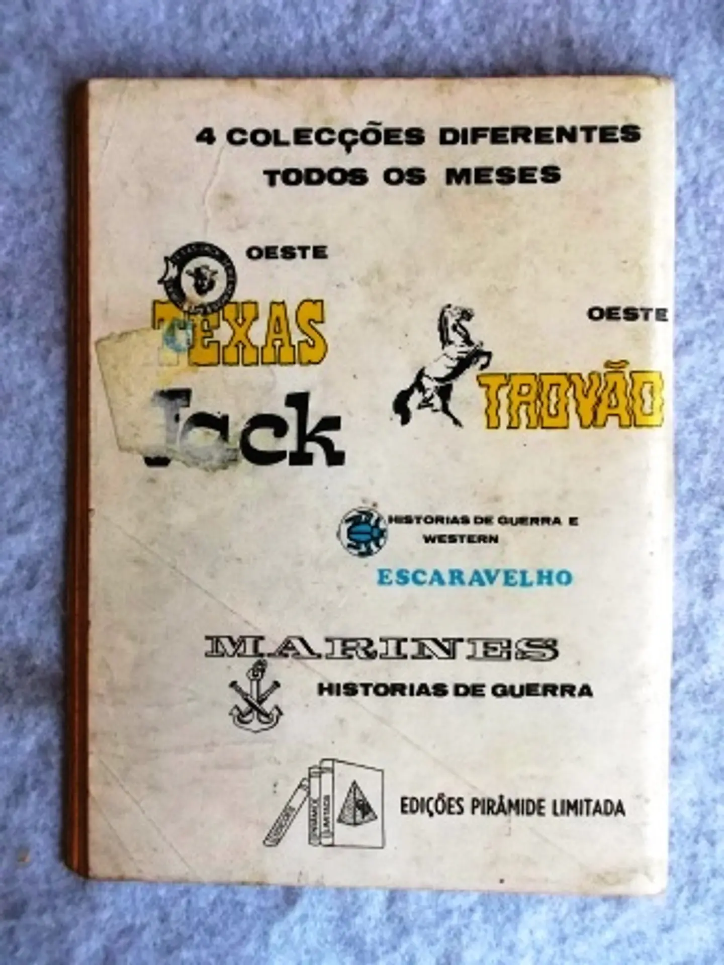 Escaravelho 02 2