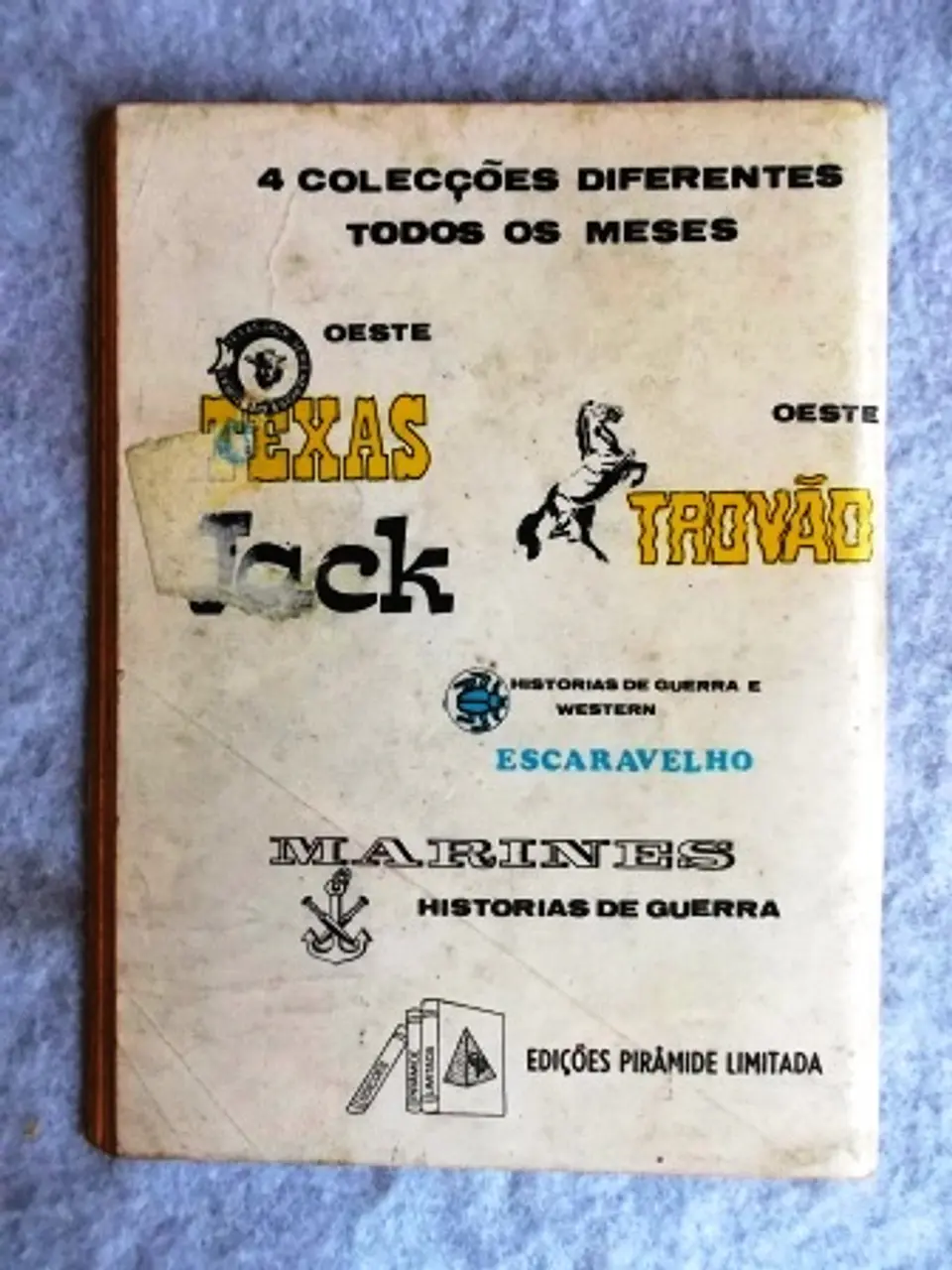 Escaravelho 02 2