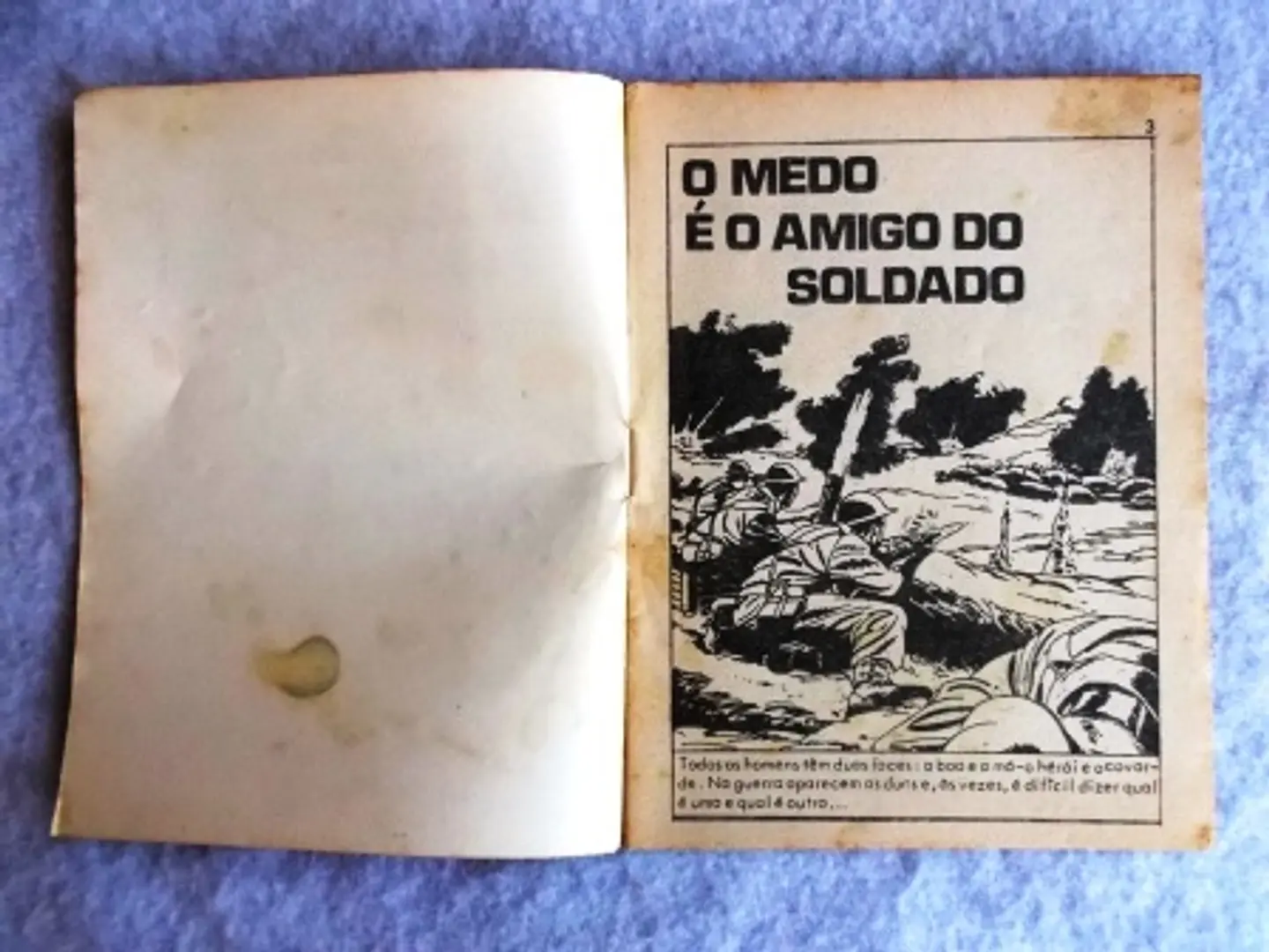 Escaravelho 02 4