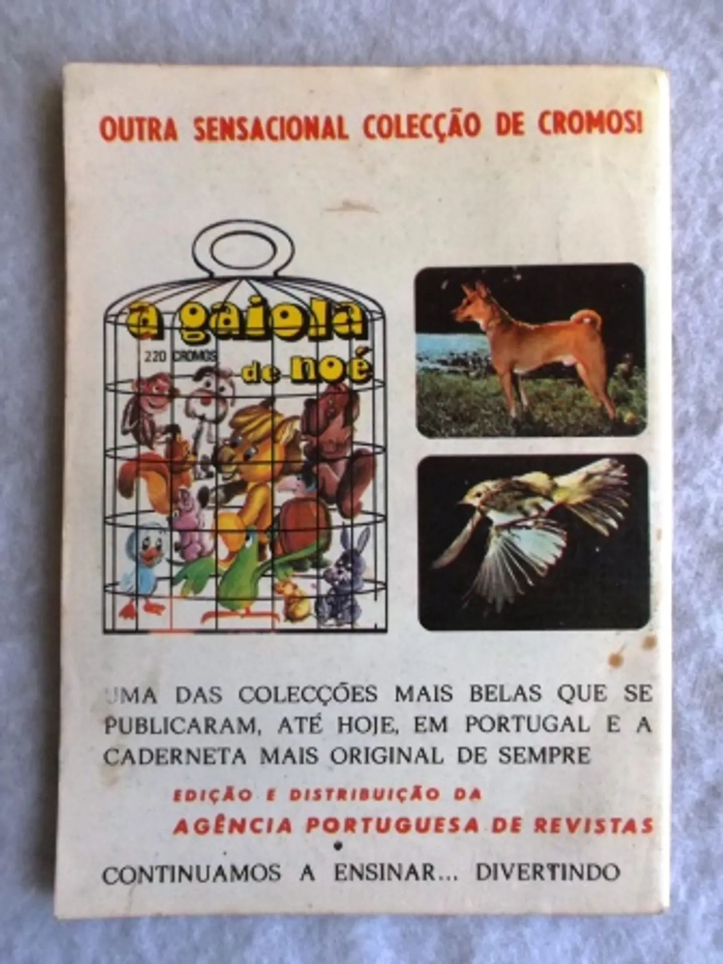 Condor 284 | Super Boy 2