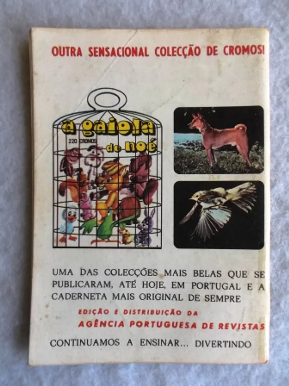 Condor 295 2