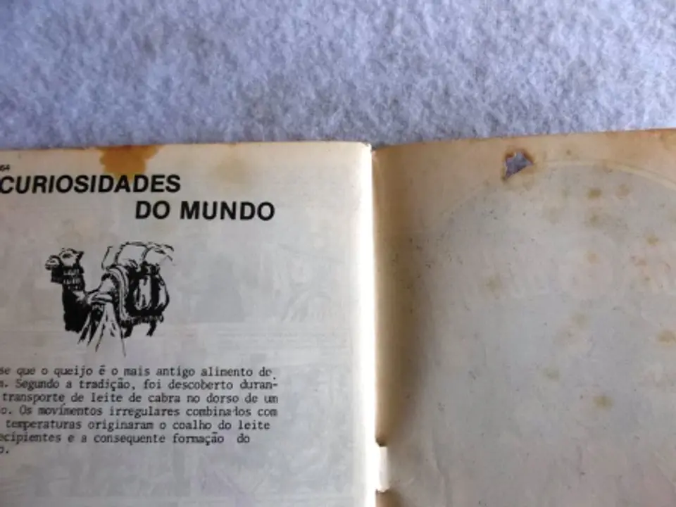 Condor 474 4