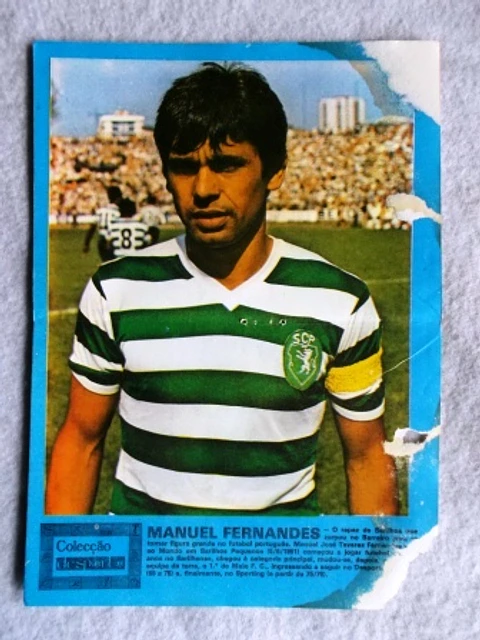 Desporto | Manuel Fernandes | Sporting
