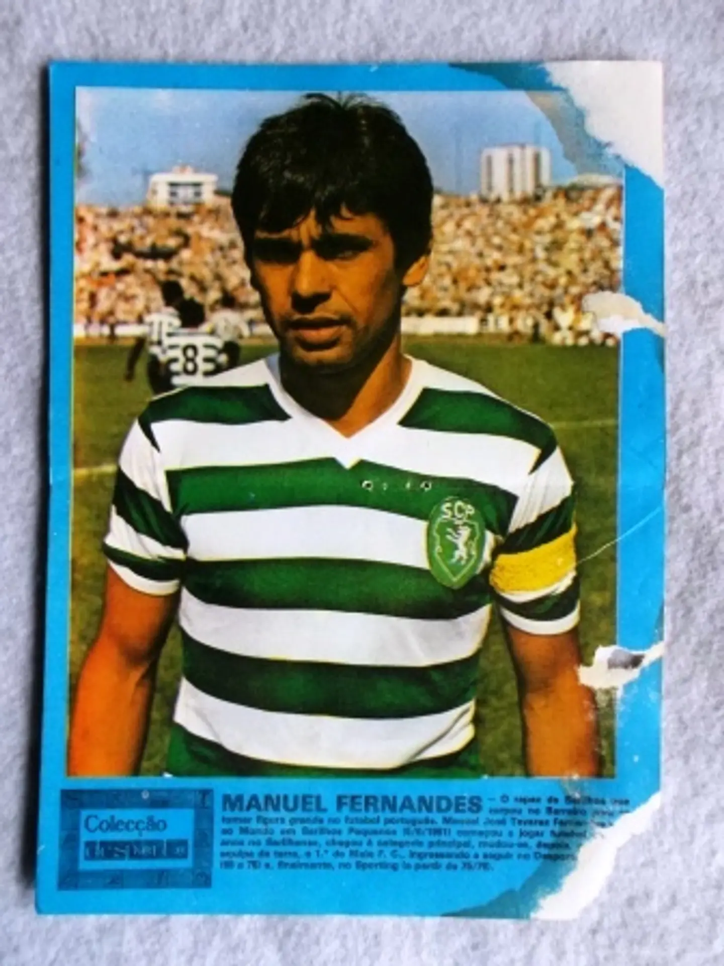Desporto | Manuel Fernandes | Sporting 1