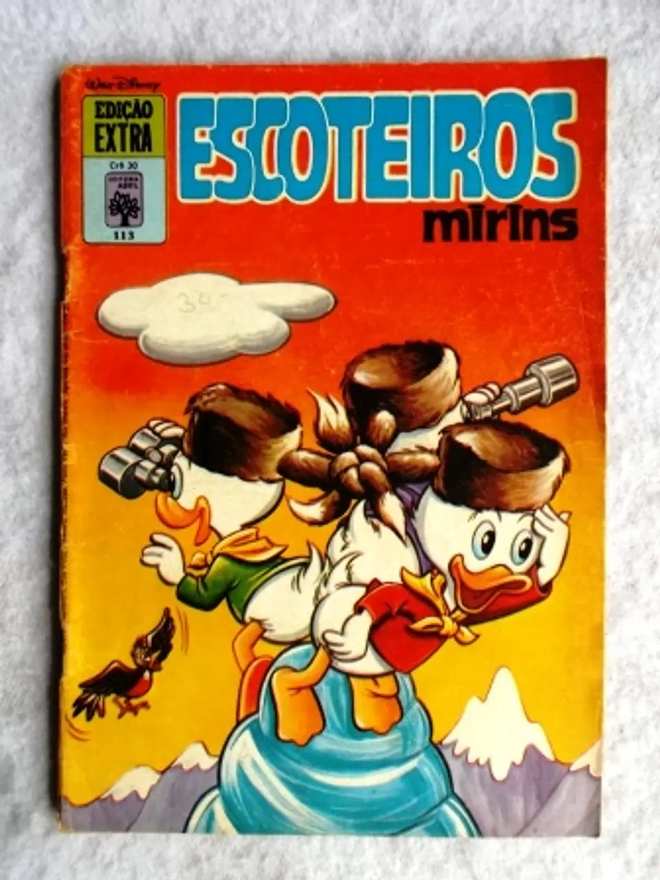 Edição Extra 113 | Escoteiros Mirins 1