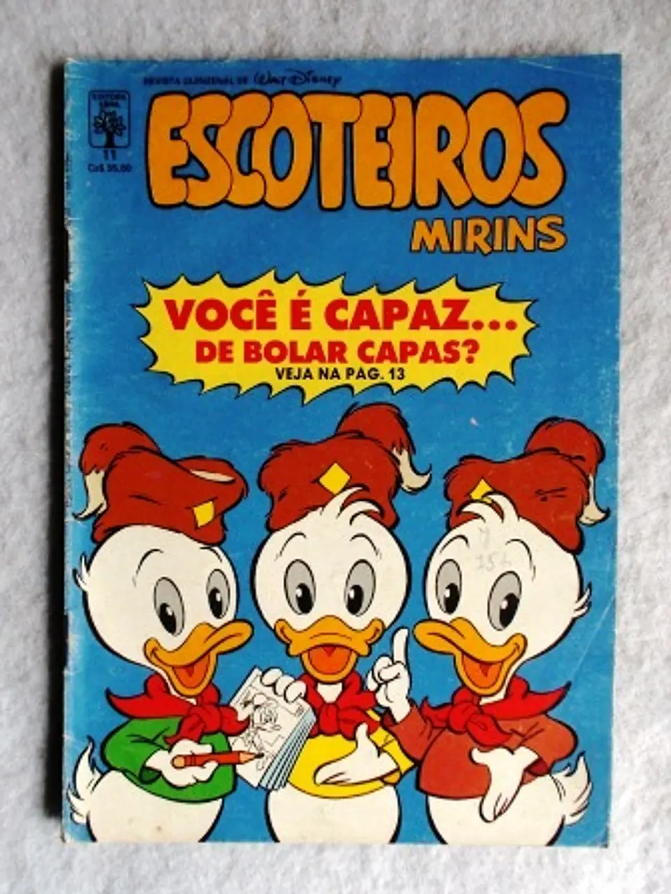 Escoteiros Mirins 011 1