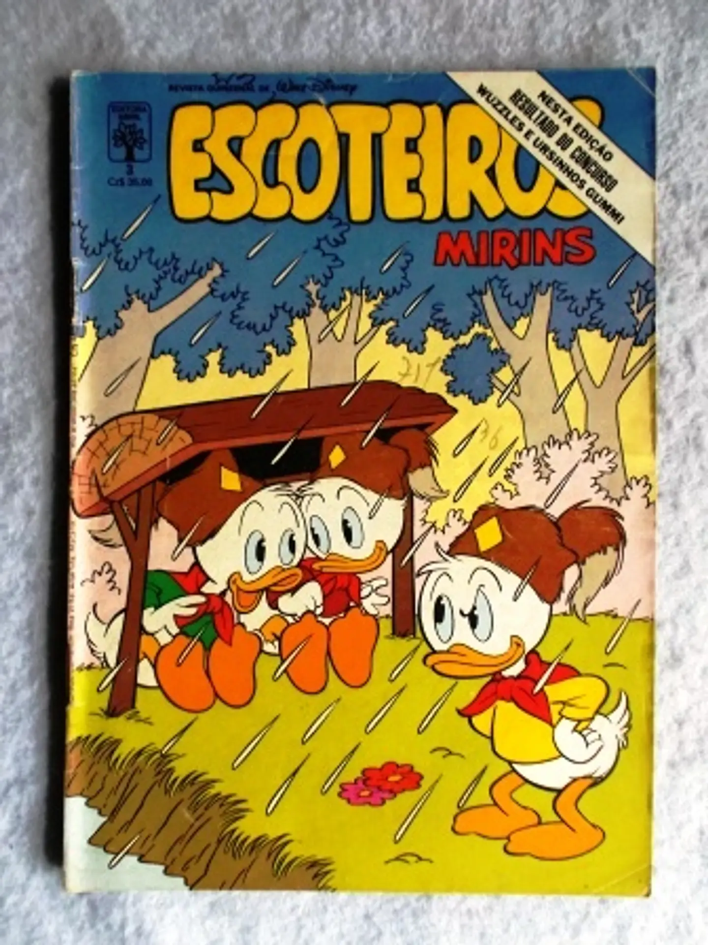 Escoteiros Mirins 003 1