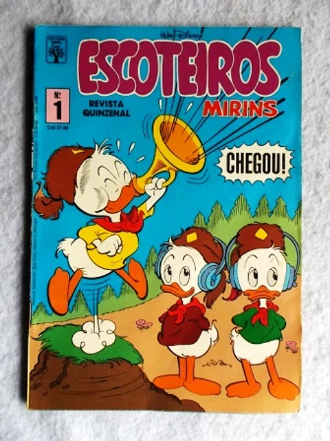 Escoteiros Mirins 001